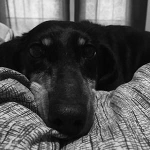 Meet your Posher, Hailey